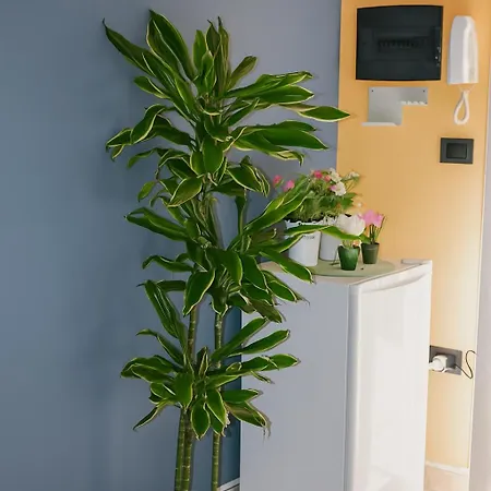 Monolocale Confortevole Uso Esclusivo Quartu SantʼElena